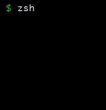 Running zsh Shell on Ubuntu
